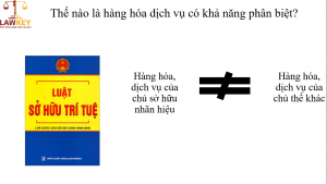 Hàng hóa, dịch vụ có khả năng phân biệt